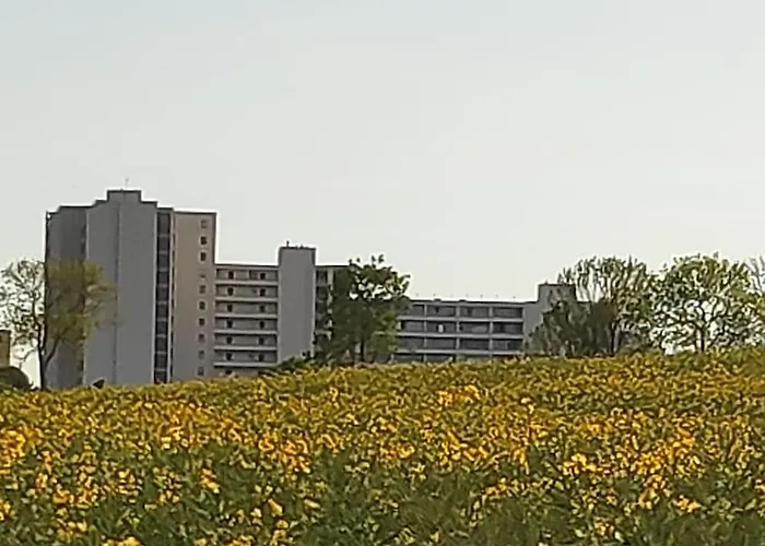 Ferienwohnung mit Ostseeblick&Strandlage